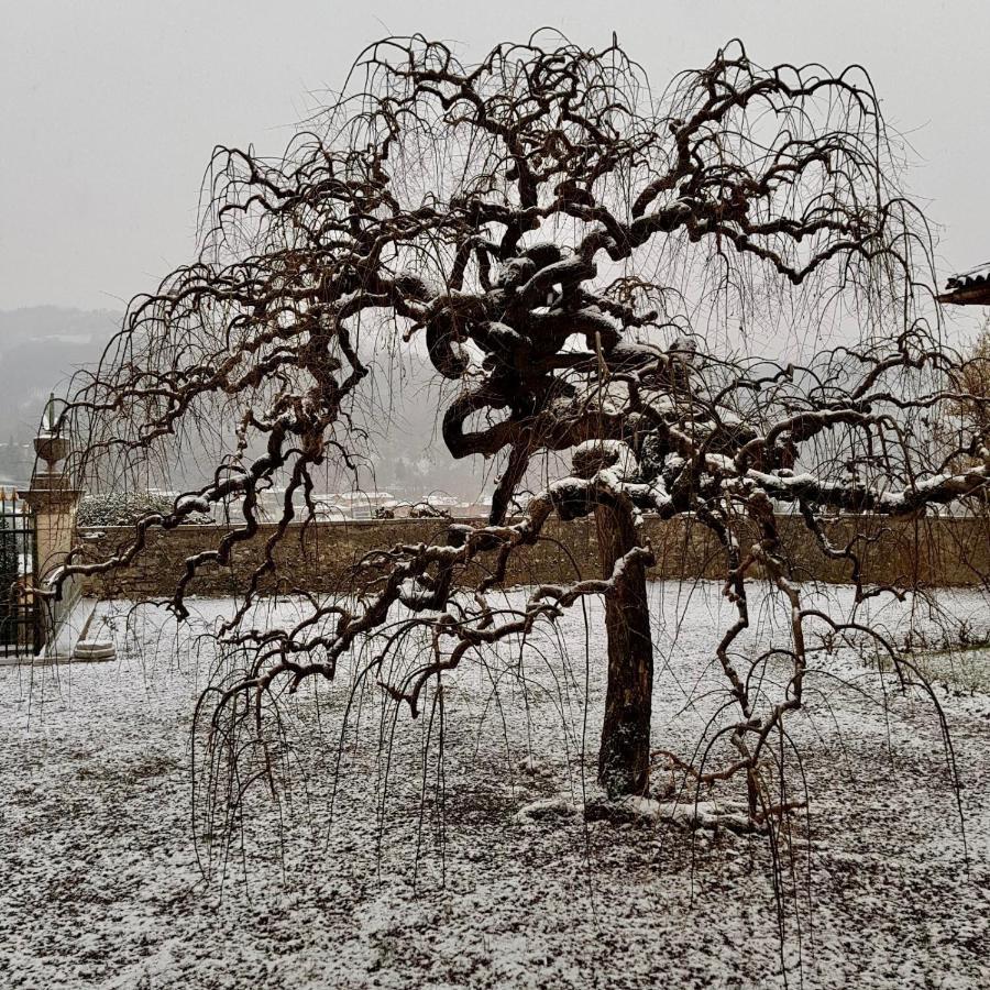 Villa Redona Entratico Dış mekan fotoğraf